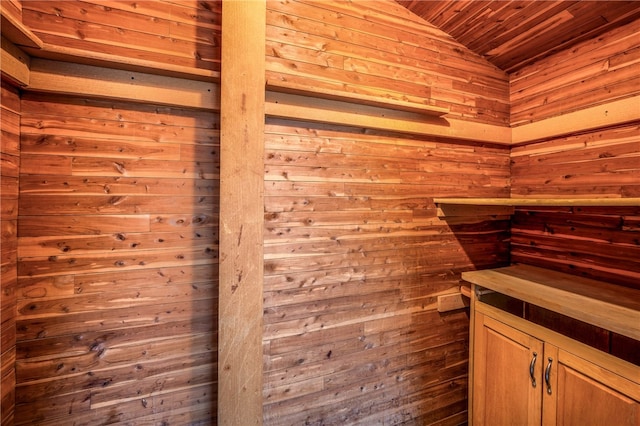 view of sauna / steam room featuring wooden walls and wooden ceiling