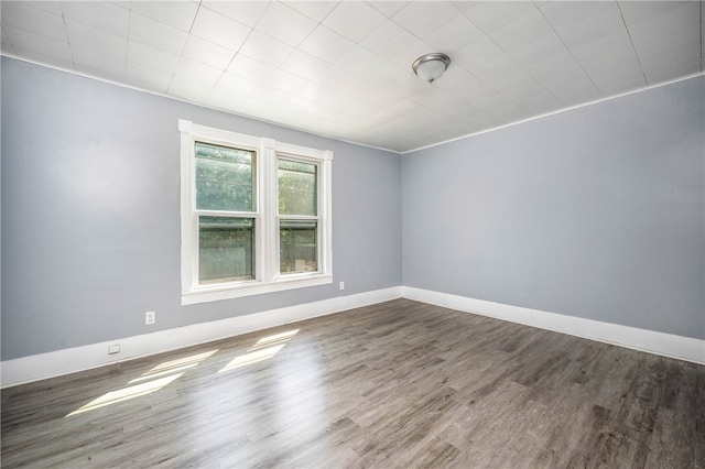 spare room featuring wood-type flooring