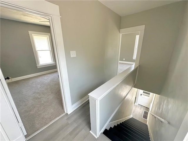 staircase with wood-type flooring