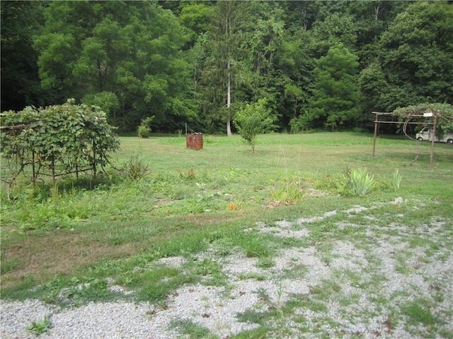 view of yard featuring a forest view