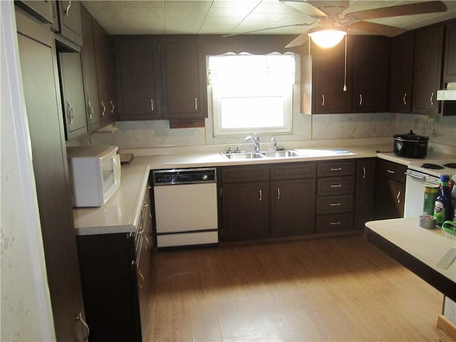 kitchen featuring dark brown cabinetry, white appliances, dark wood finished floors, light countertops, and a sink