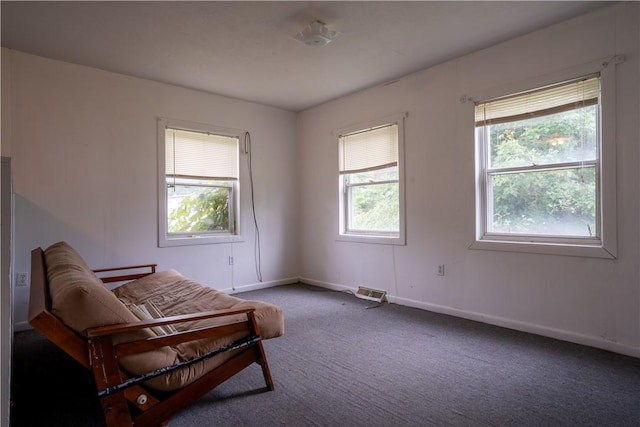 living area featuring carpet and plenty of natural light