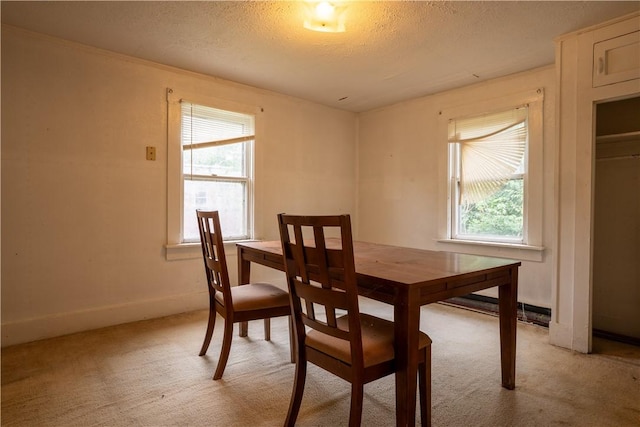 carpeted dining room with a healthy amount of sunlight and a textured ceiling