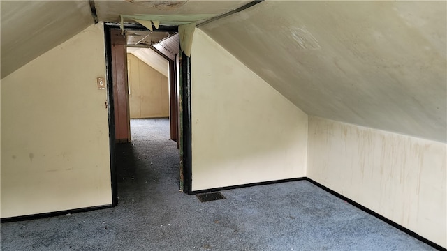 additional living space featuring carpet floors and lofted ceiling