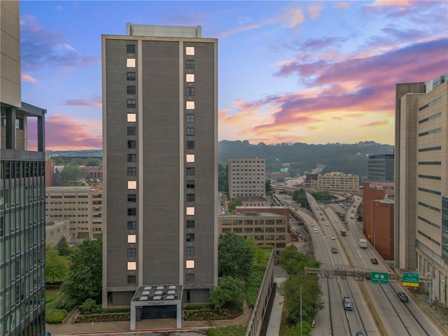 112 Washington Pl Unit 7E, Downtown Pgh, PA 15219 - view of city