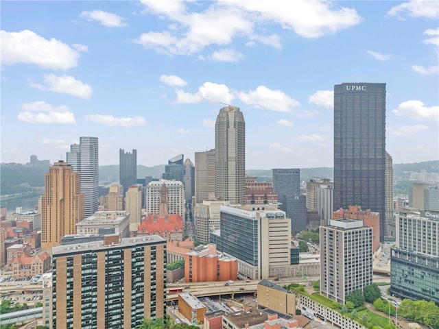 112 Washington Pl Unit 7E, Downtown Pgh, PA 15219 - view of city skyline