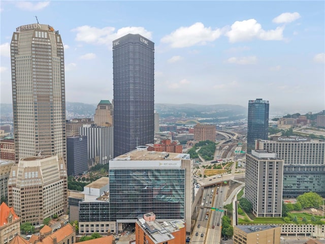 112 Washington Pl Unit 7E, Downtown Pgh, PA 15219 - city view