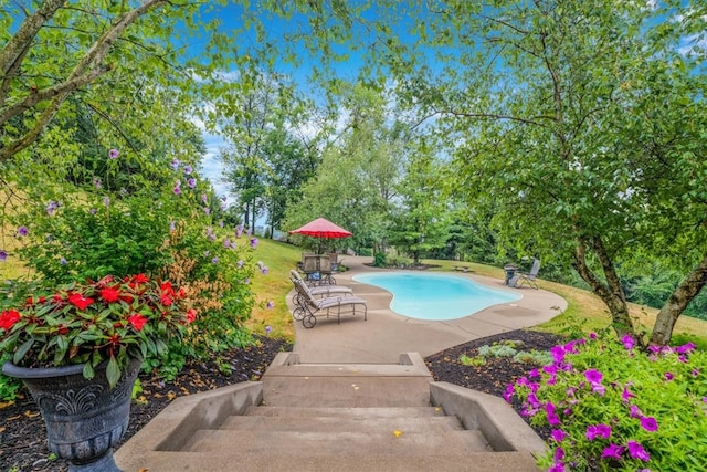 view of pool featuring a patio