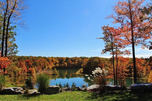 property view of water with a wooded view