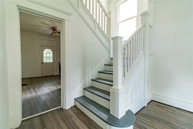 staircase with ceiling fan and dark hardwood / wood-style floors