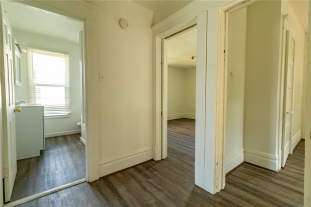 hall with dark hardwood / wood-style floors