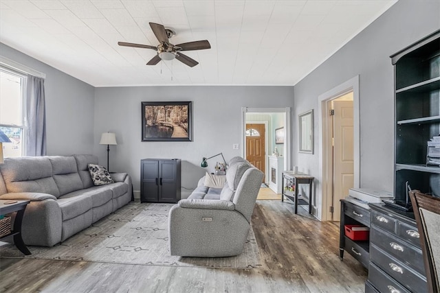 living room with ceiling fan and wood-type flooring