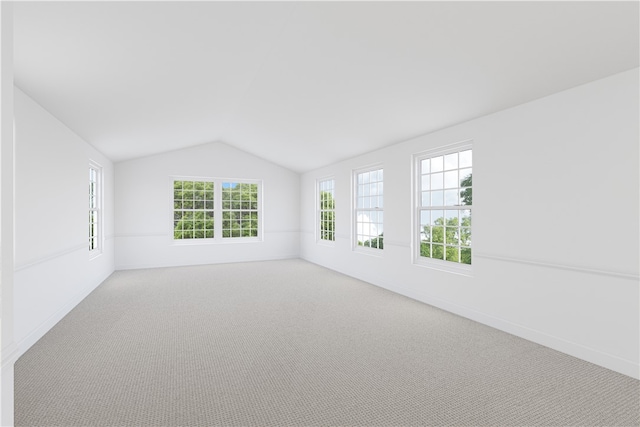 spare room with carpet and vaulted ceiling