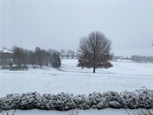 view of yard layered in snow