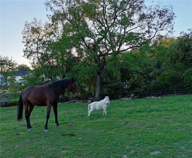 view of yard featuring a rural view