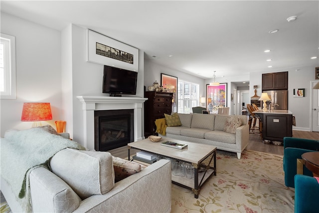 living room featuring light wood-type flooring