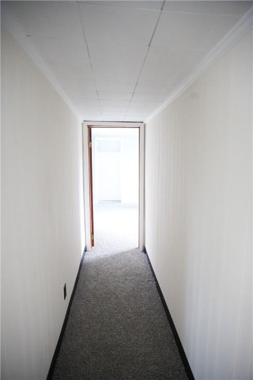 hall featuring crown molding and carpet