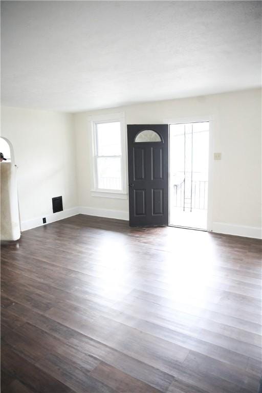 foyer entrance featuring dark wood-type flooring