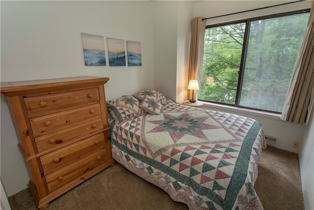 bedroom featuring baseboard heating and carpet floors