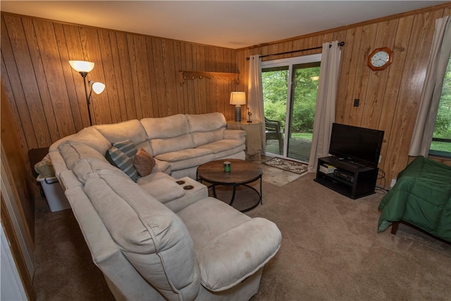 carpeted living room with wooden walls