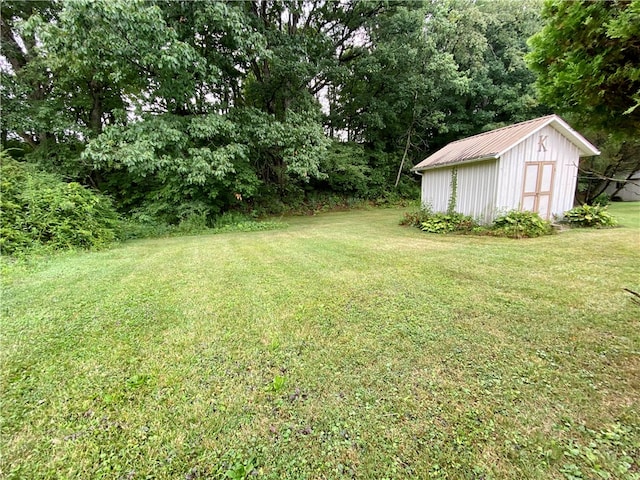 view of yard with a shed