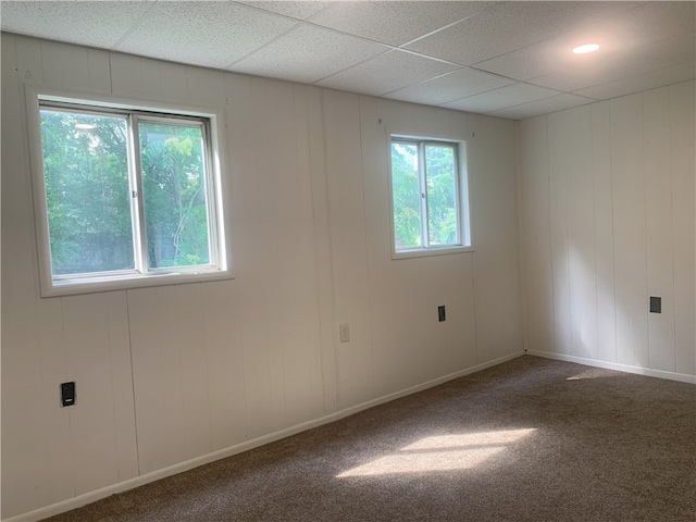 carpeted spare room featuring a wealth of natural light