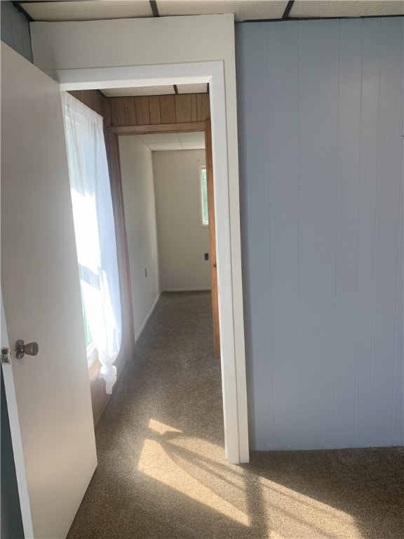 hall featuring wood walls, a healthy amount of sunlight, and carpet flooring