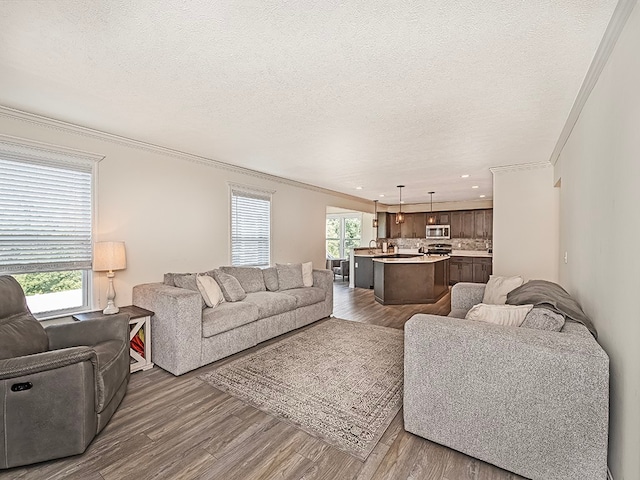 living room featuring a healthy amount of sunlight, hardwood / wood-style flooring, and crown molding