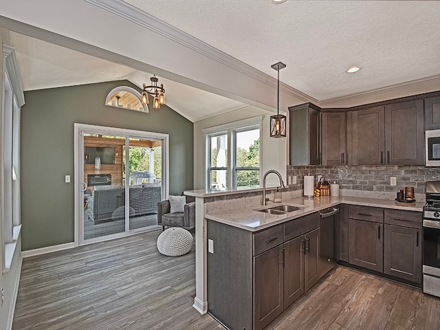 kitchen featuring dark hardwood / wood-style floors, vaulted ceiling, appliances with stainless steel finishes, and kitchen peninsula