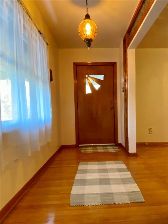 doorway with hardwood / wood-style floors