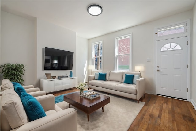 living room with hardwood / wood-style floors