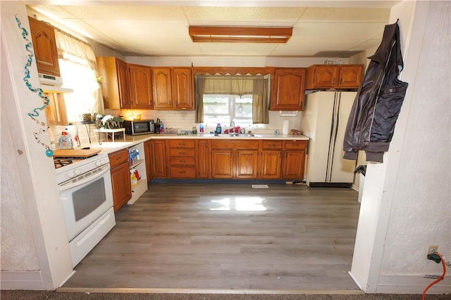 kitchen featuring sink, exhaust hood, hardwood / wood-style flooring, and white appliances