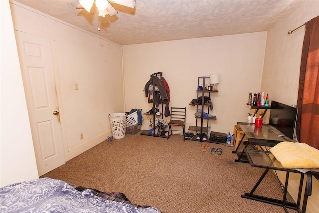 213 2nd St, Elco, PA 15434 - exercise room with carpet, a ceiling fan, and a textured ceiling