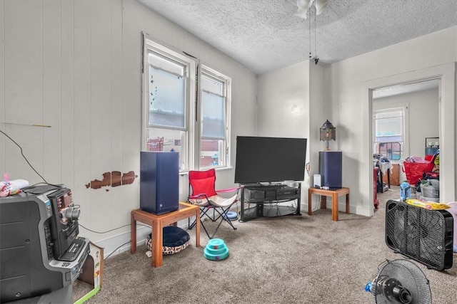 recreation room with carpet flooring and a textured ceiling