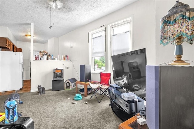 interior space featuring carpet floors and a textured ceiling