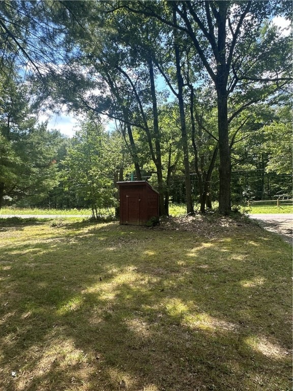 view of yard with a storage shed