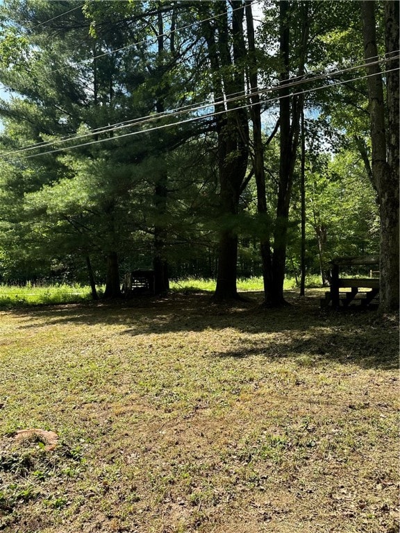 view of local wilderness