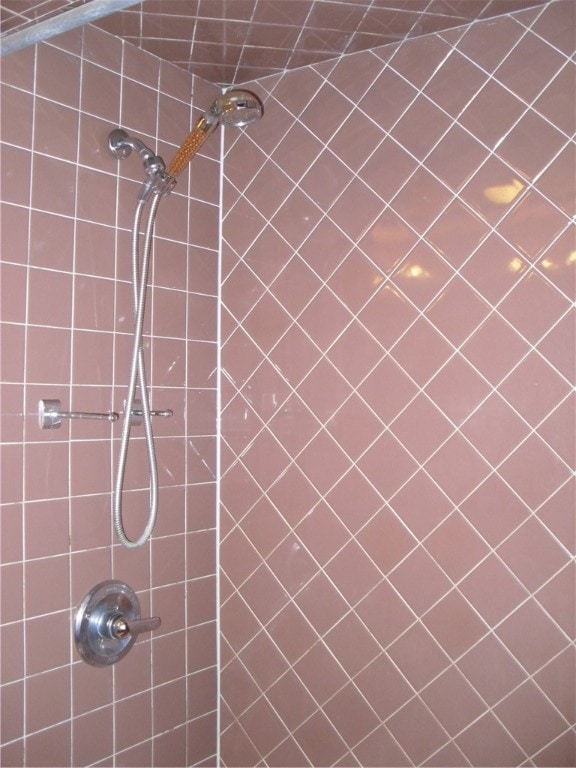 room details featuring tiled shower