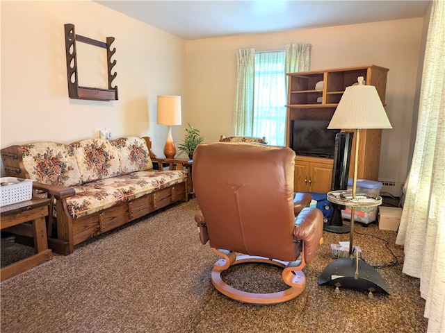 living room with carpet