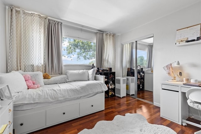 bedroom featuring a closet and dark wood-type flooring