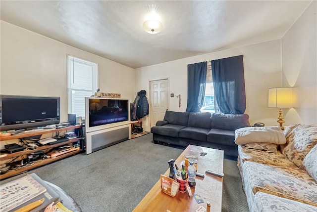 carpeted living room with a wealth of natural light