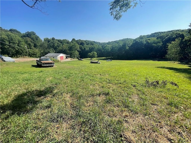 view of yard featuring a forest view and a rural view