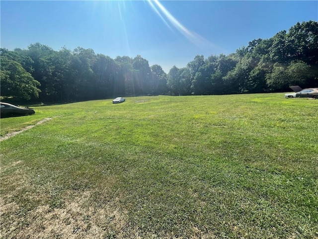 view of yard featuring a wooded view
