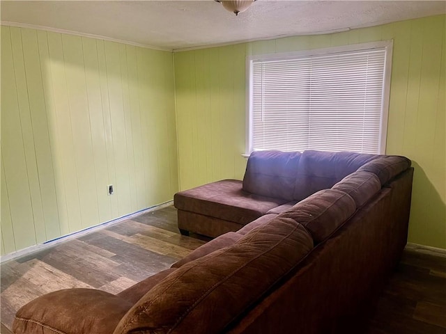 living area with ornamental molding and dark wood-type flooring