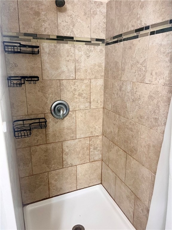 bathroom with a shower with curtain