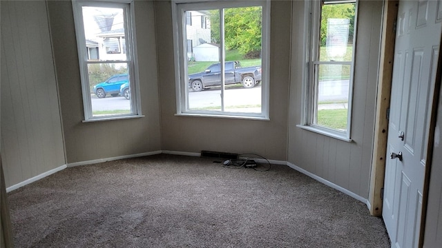 unfurnished room featuring carpet floors and a healthy amount of sunlight