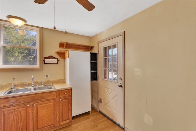 kitchen featuring ceiling fan, light wood-type flooring, and sink