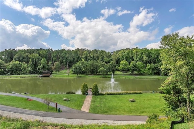 view of community featuring a water view and a yard