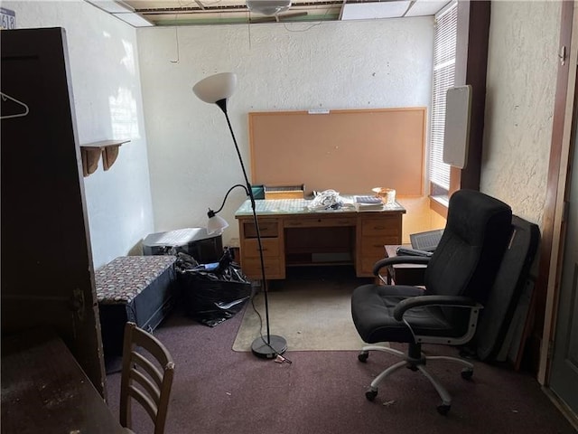 office space with carpet floors