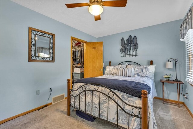 bedroom with a closet, carpet, ceiling fan, and a walk in closet